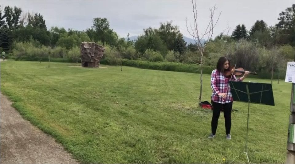 A person plays violin on a grassy lawn near a music stand, with trees, a rock structure, and mountains in the background.